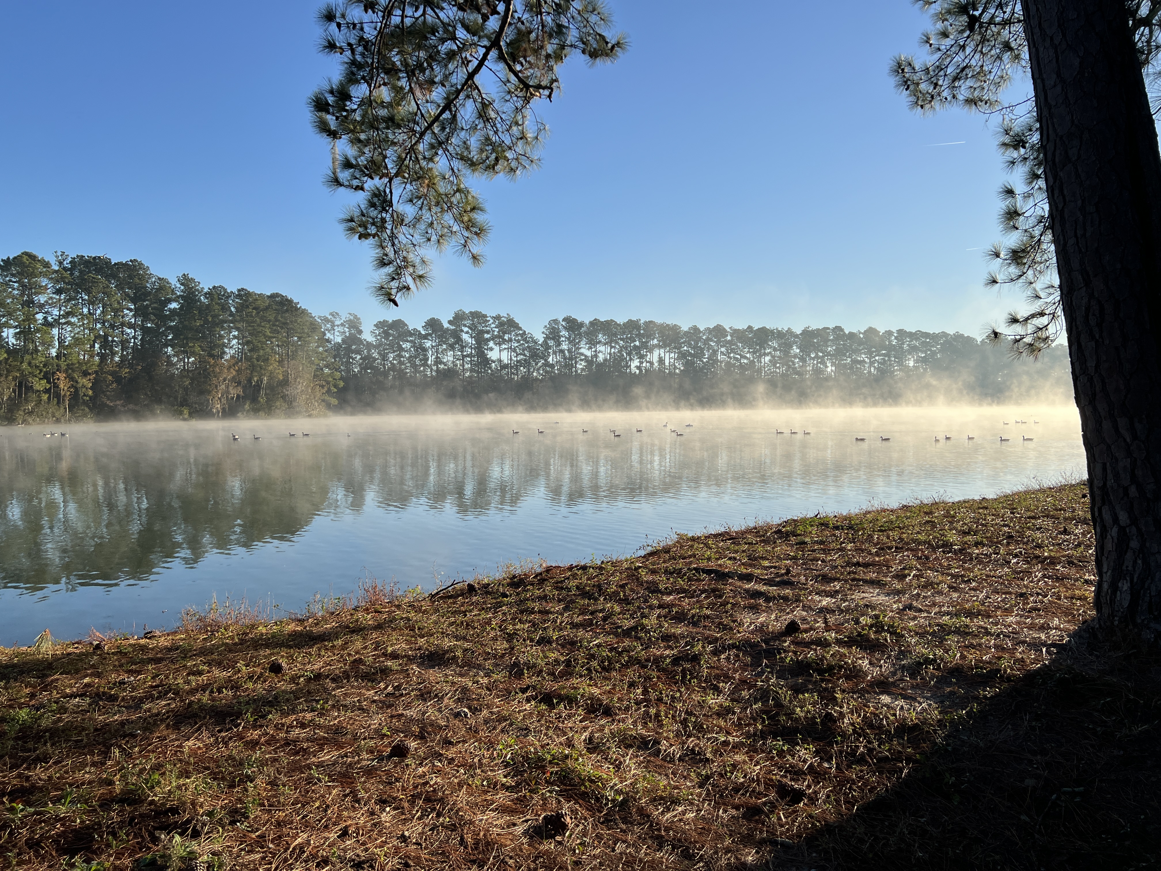 ./2024/12 - Thanksgiving/IMG_3822.JPG